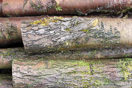 logs, moss, wood, tree, old, nature, texture
