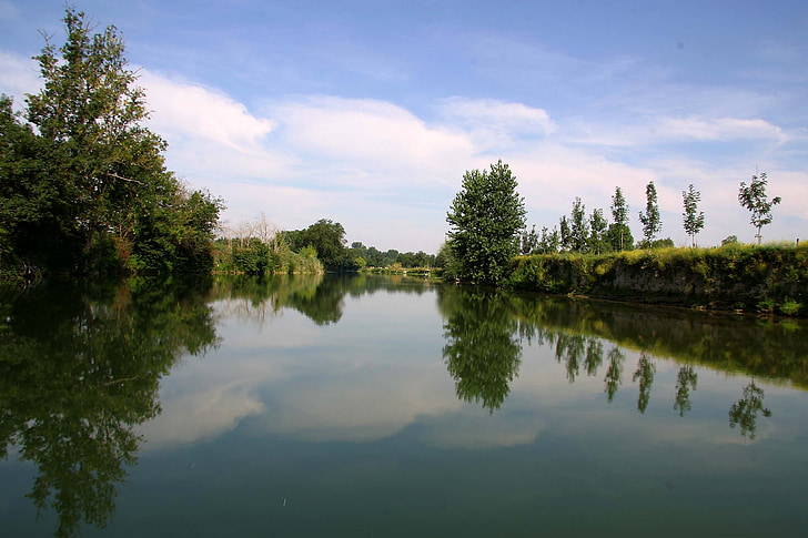 razmišljanja, dreves, reka, ogledalo, vode, Charente