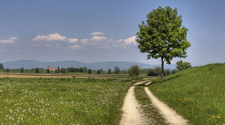 kelią iki užtvankos, Gamta, Bavarijos miškas, žygiai pėsčiomis, kraštovaizdžio