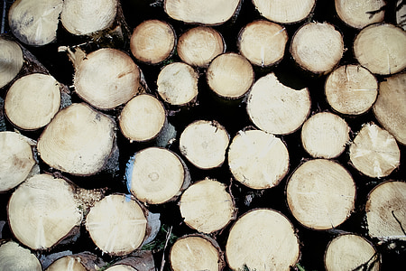 kayu, Spar, mengurangi, pohon, log, energi, komoditi