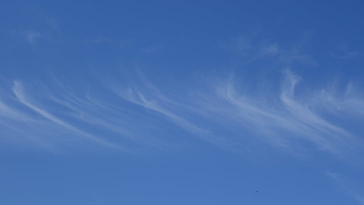 Cirrus, nuvens, filamentos, tempo, céu, plano de fundo