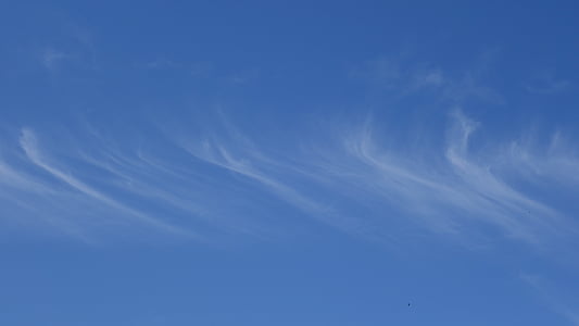 Cirrus, wolken, door samensmelting van filamenten, weer, hemel, achtergrond