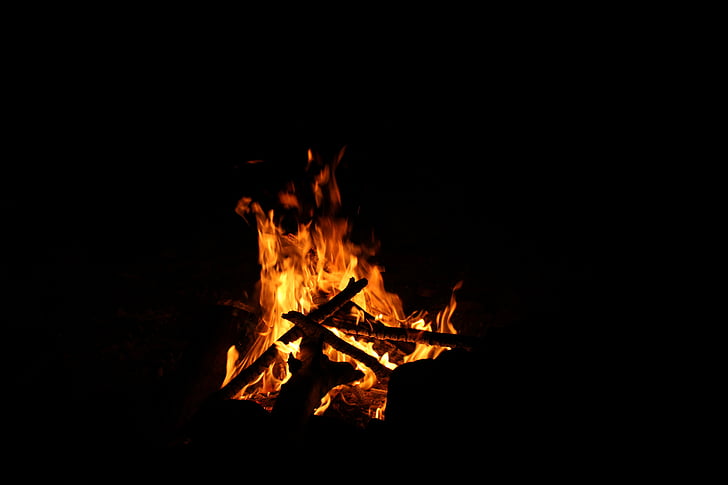 woods, burning, dark, fire, flame, wood, light
