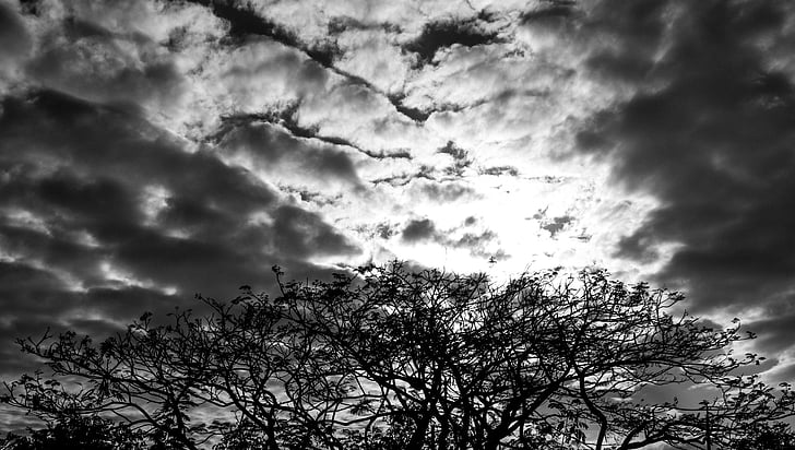 ουρανός, δέντρα, σύννεφα, φύση, μαύρο άνδρα, cloud - sky, σε εξωτερικούς χώρους