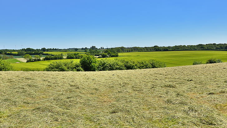hay, landscape, fields, northern germany