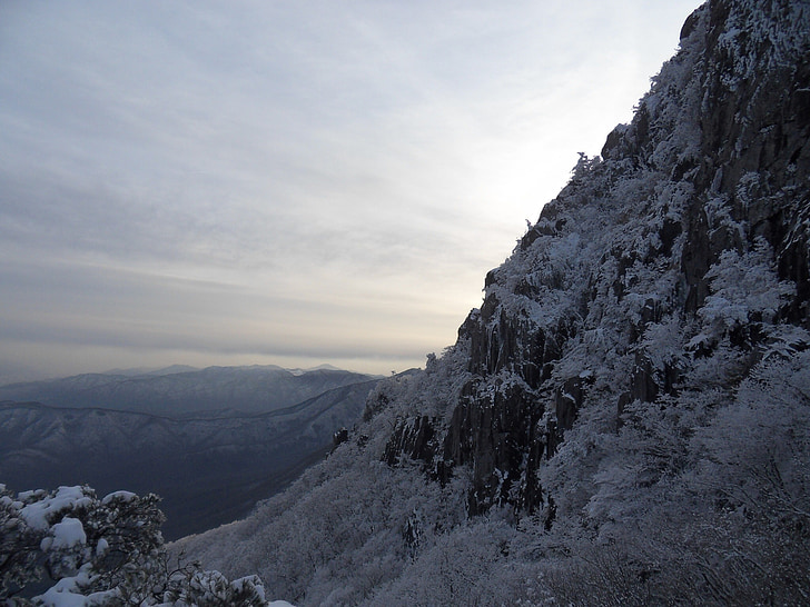 sneg, gorskih