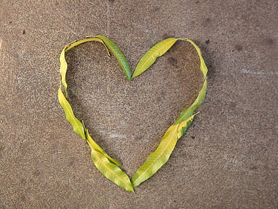 heart, leaves, nature, love, romantic, pattern, green