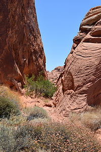 Cañón, el valle de fuego, Nevada, desierto, piedra arenisca, formación