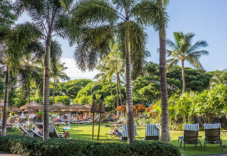 Hawaii, Oahu, Resort, Olina ko, Marriott, Havuzu, palmiye ağaçları