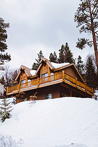 cabaña de troncos, Casa, Chalet, Inicio, paisaje, invierno, nieve