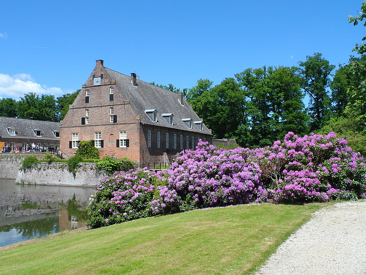 Schloss, Blumen, Teich, Sommer, Landschaft