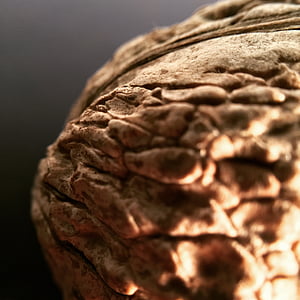 ořech, hnědá, makro, Vlašské ořechy, podzim, detail