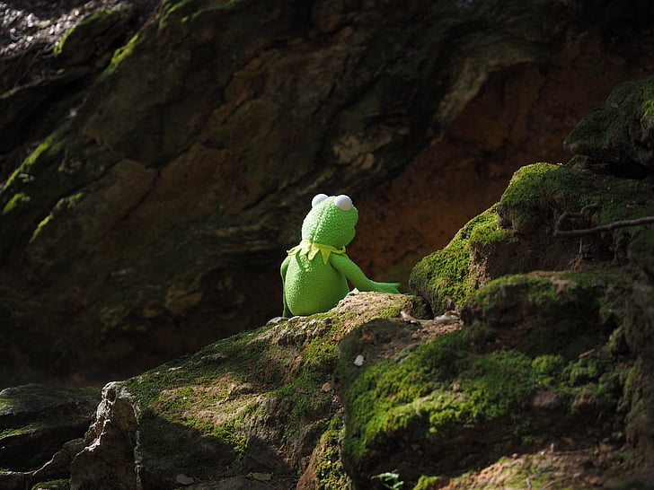 Kermit, frosk, grønn, resten, pause, natur, fjell