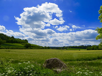 bright, cloud, countryside, cropland, daylight, environment, farm