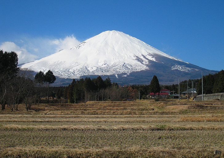 Gunung fuji, Gotenba, pedesaan, beras, musim dingin, Prefektur Shizuoka, gundukan