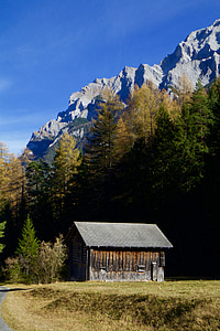 kalnai, Alpių, rudenį