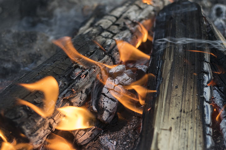 campfire, firewood, fire, wood, burn, heat, nature