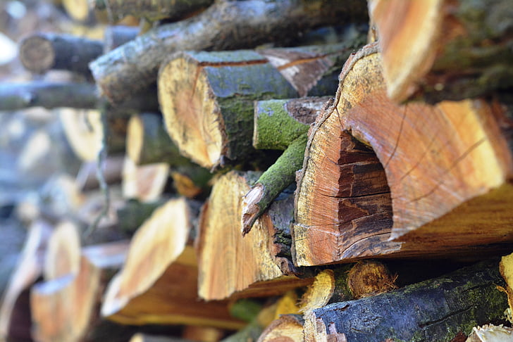 madeira, combustível, Reserva, logs, lenha, pilha de madeira, logs de madeira