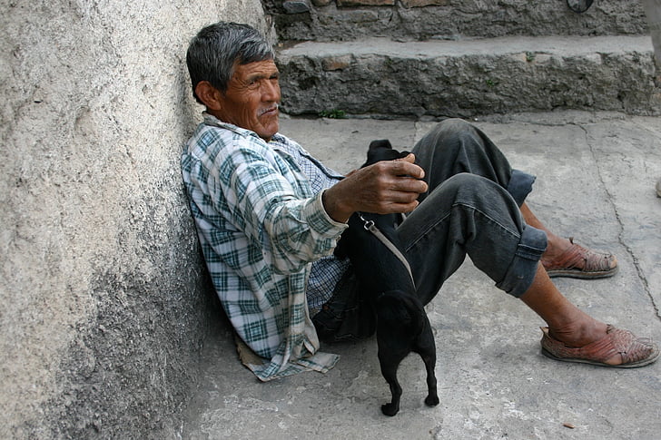 man, resting, person, man and his dog