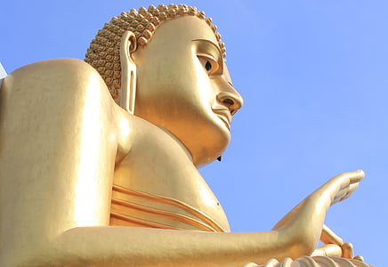 Buddha, Srí lanka, templom, buddhizmus, szobor, buddhista, arany