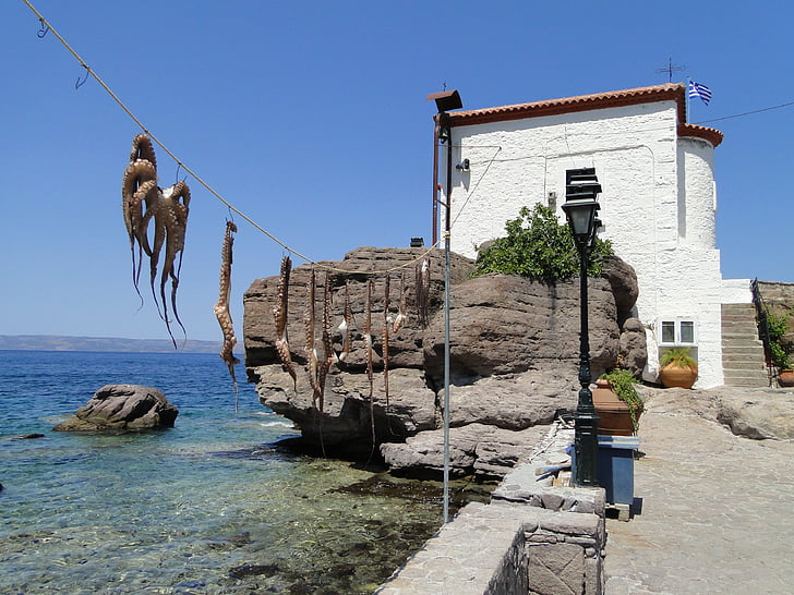lesvos, octopus, church, sea
