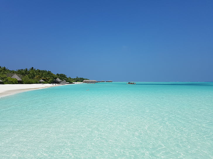 plajă, Atoll, Maldive, mare, albastru, scenics, culoarea turcoaz