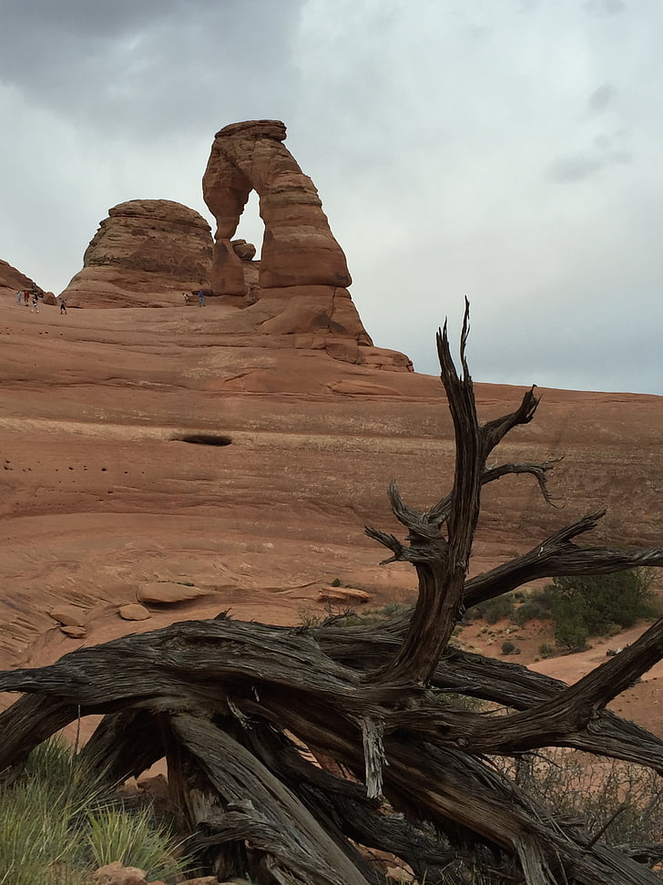 Moab, Landschaft, im freien