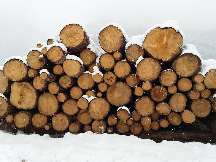 trä, vinter, Logga in, snö, kalla, ved, sågade
