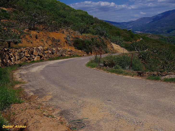 Road, asfalt, marsruut, maastik, teede