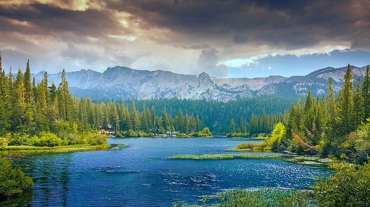 mountains, woodland, lake, forest, landscape, tree, green
