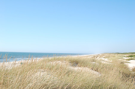 dunes, Dune, oceà, Mar, platja, Soledad, vacances