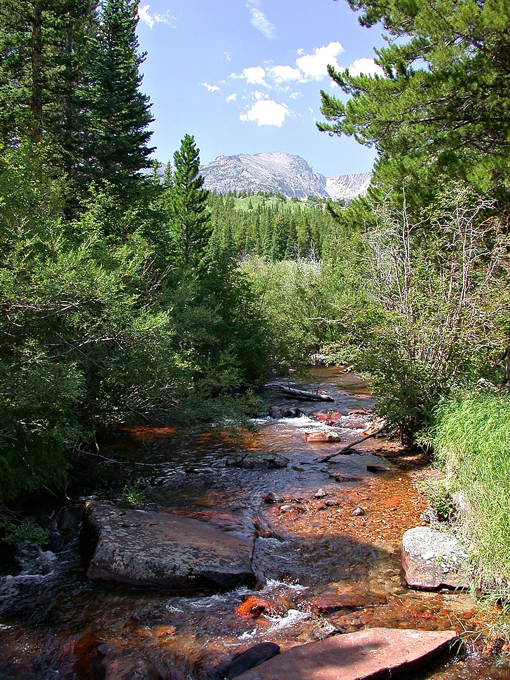 Colorado, corriente, montañas de Colorado, naturaleza, paisaje, Scenic, paisaje