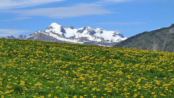 Príroda, Mountain, Príroda, Alpy, Pešia turistika, jar, horské pasienky