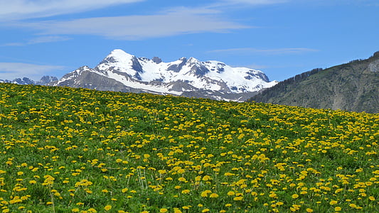 krajina, Hora, Příroda, Alpy, pěší turistika, jaro, horské pastviny