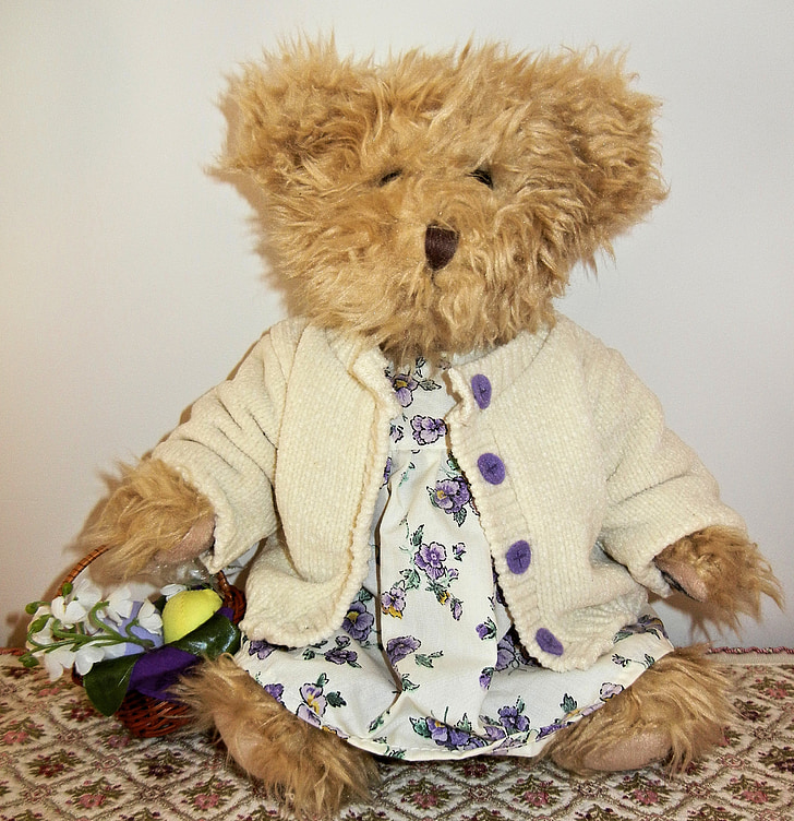 teddy bear, cuddly, clothed, flower basket