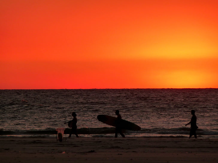 personas, caminando, orilla del mar, uno, explotación, tabla de surf, puesta de sol