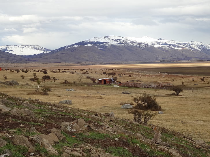 krajobraz, Patagonia, El calafate, Południowej Argentynie