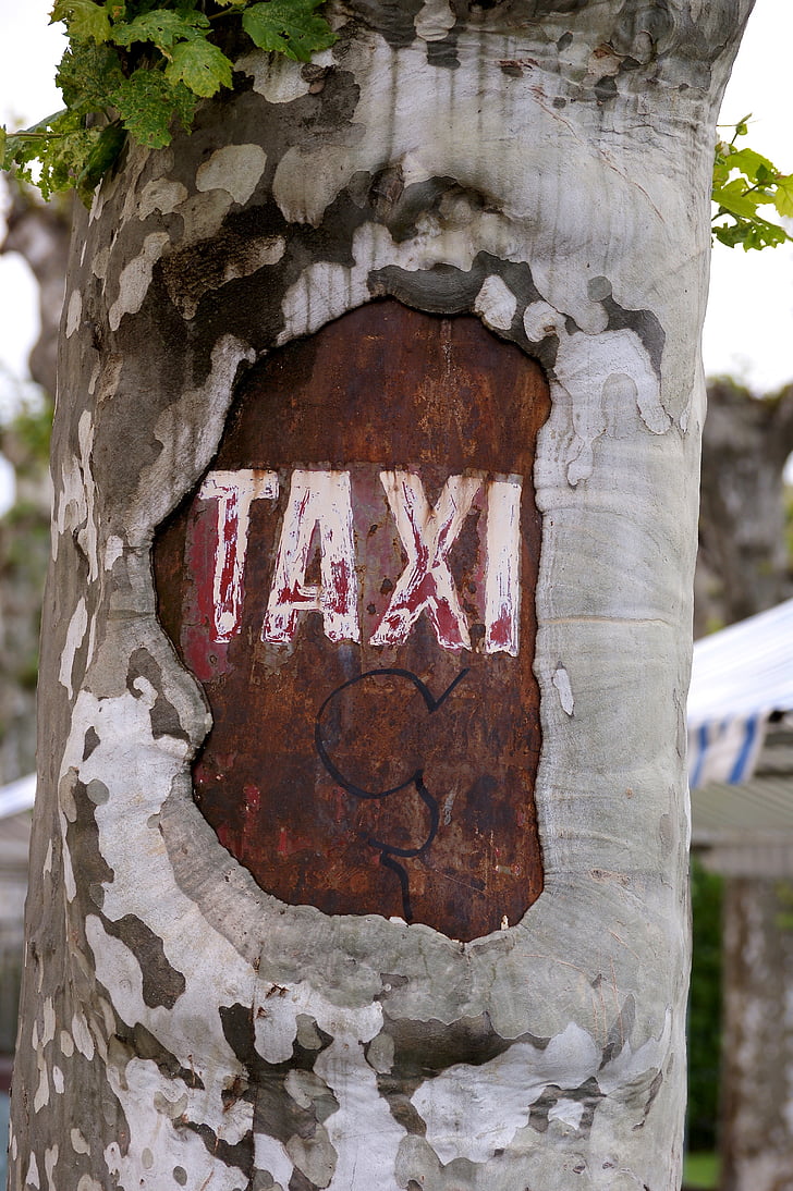 taxi, träd, staden, utmärker, Park, graverade, Stanna