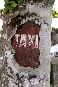 xe taxi, cây, thành phố, đứng, công viên, khắc, Dừng