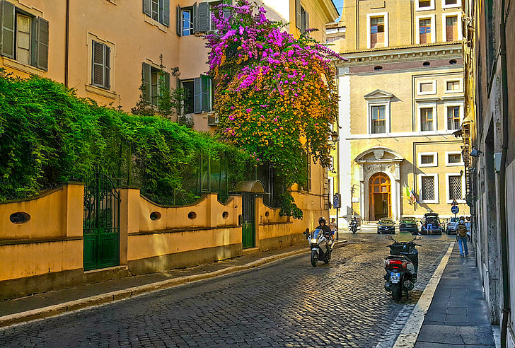 Rom, motorcykel, Italien, Italienska, blomma, träd, gamla