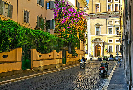 罗马, 摩托车, 意大利, 意大利语, 花, 树, 老