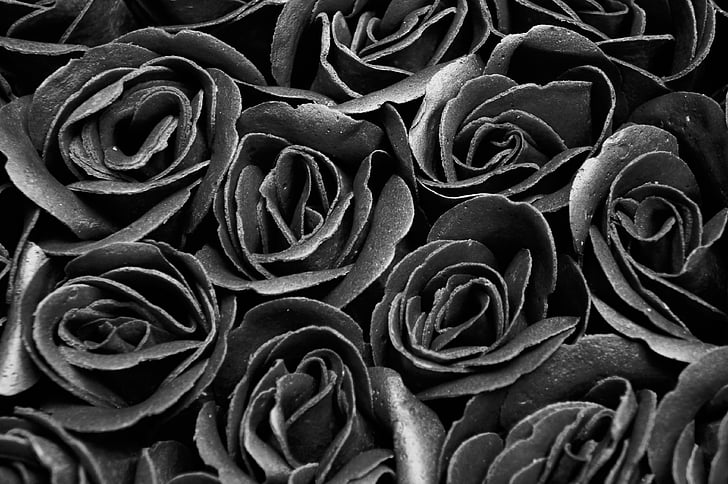 blanc i negre, Roses, flors, fons, dol, comiat, gòtic