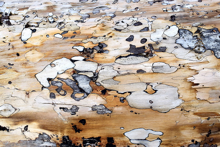 plywood, konsistens, gamla, bakgrunder, brun, abstrakt