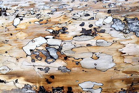 madera contrachapada, textura, antiguo, fondos, marrón, Resumen