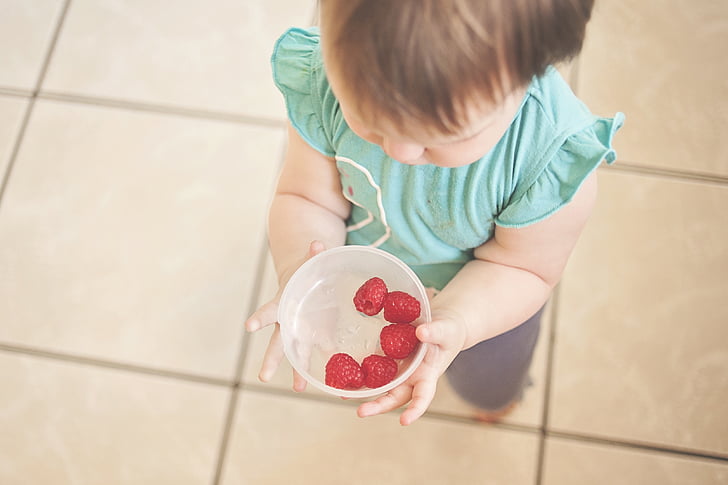 toddler, raspberries, holding, food, adorable, cute, childhood