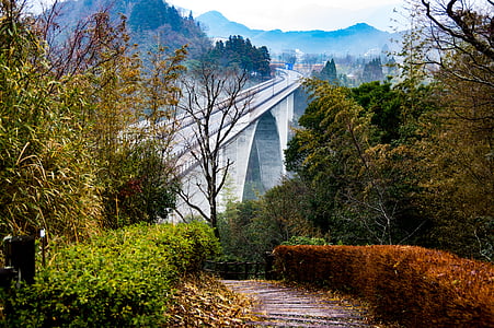 Mijazaki, 井上 soutěska, Most, ranní mlha, Mýtus, Asagiri most, brzy ráno