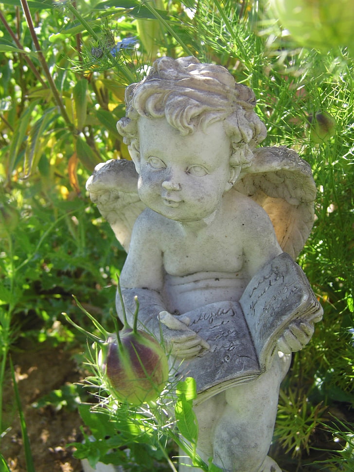Angel, statuen, bok, hvit, skulptur, dekorasjon, barn