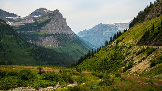 sapins, grand montagnes du Parc National de Glacier, herbe, randonnée, colline, paysage, montagne