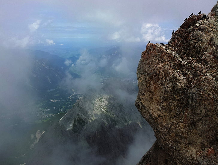 zugspitze, rock, birds, mountaineering, hiking, summit, alpine