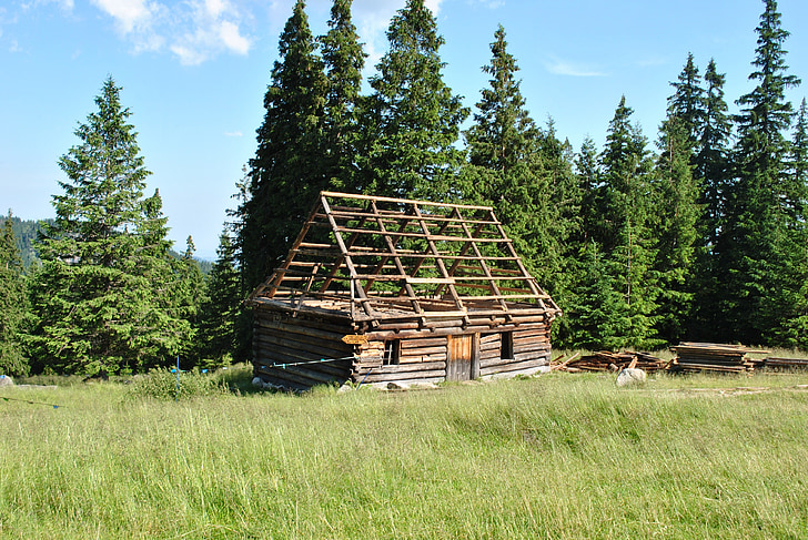 montanhas, cabana, cabana do pastor, Polyana, Tatra Bucovina